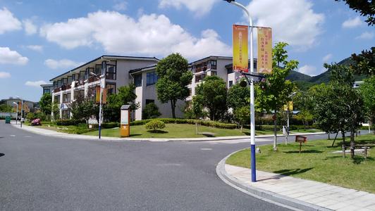 案例展示